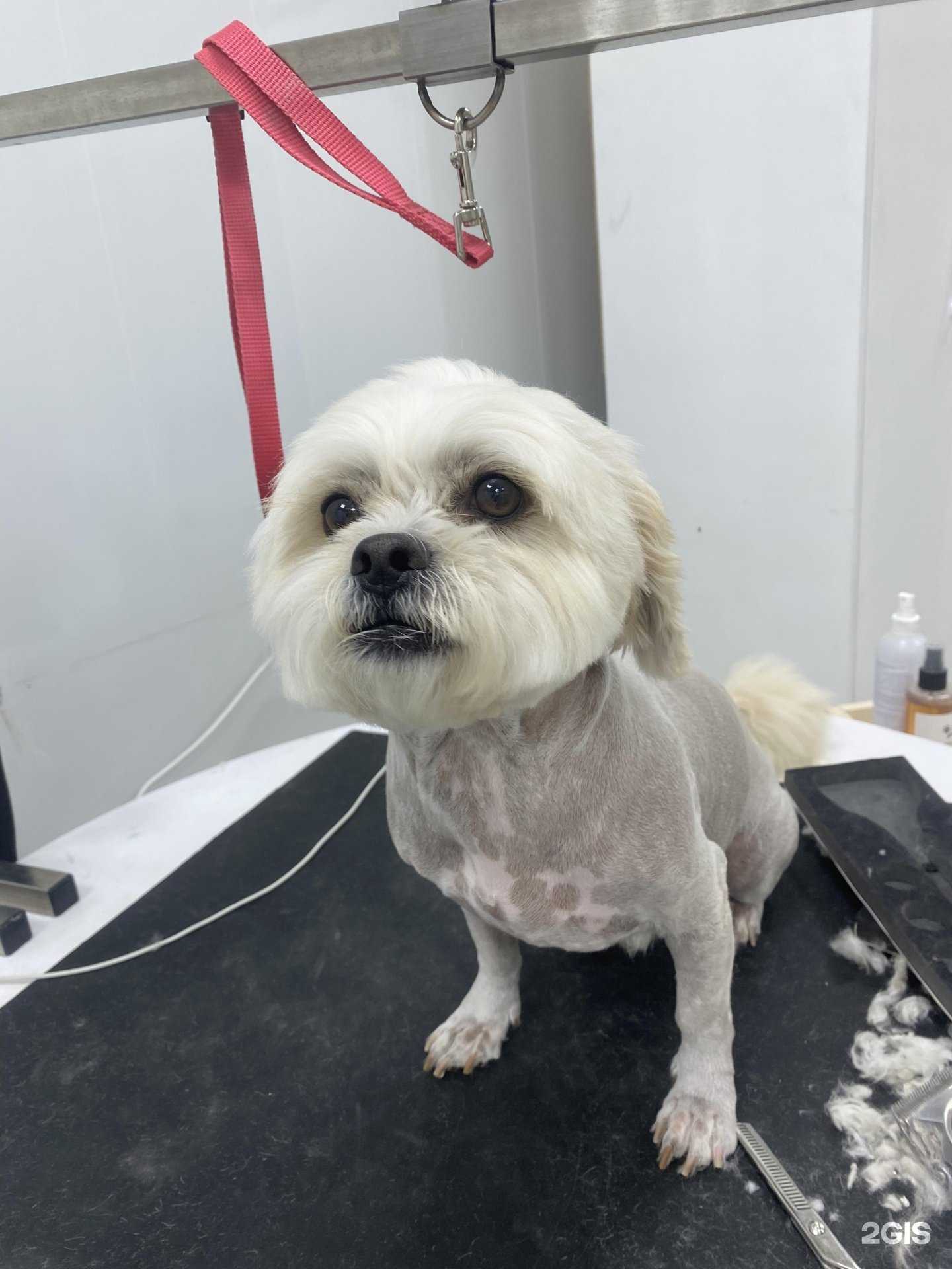 Отзывы на компанию Groom Дом в Тюмени c фото