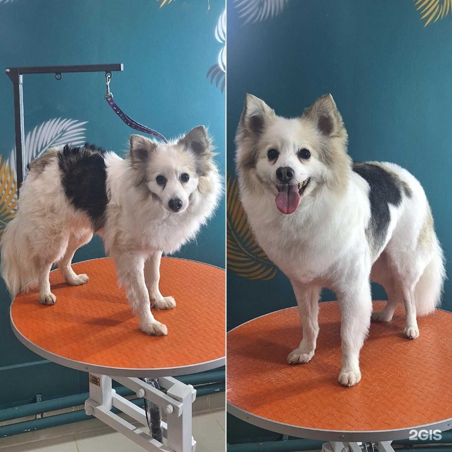 Отзывы на компанию Рыжий в г. Кострома c фото