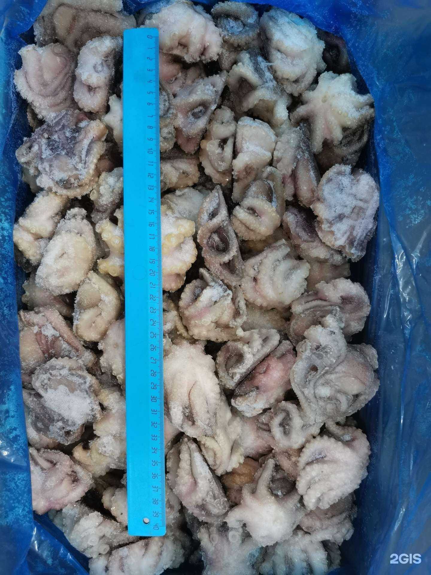 Отзывы на компанию Северная земля в Самаре c фото