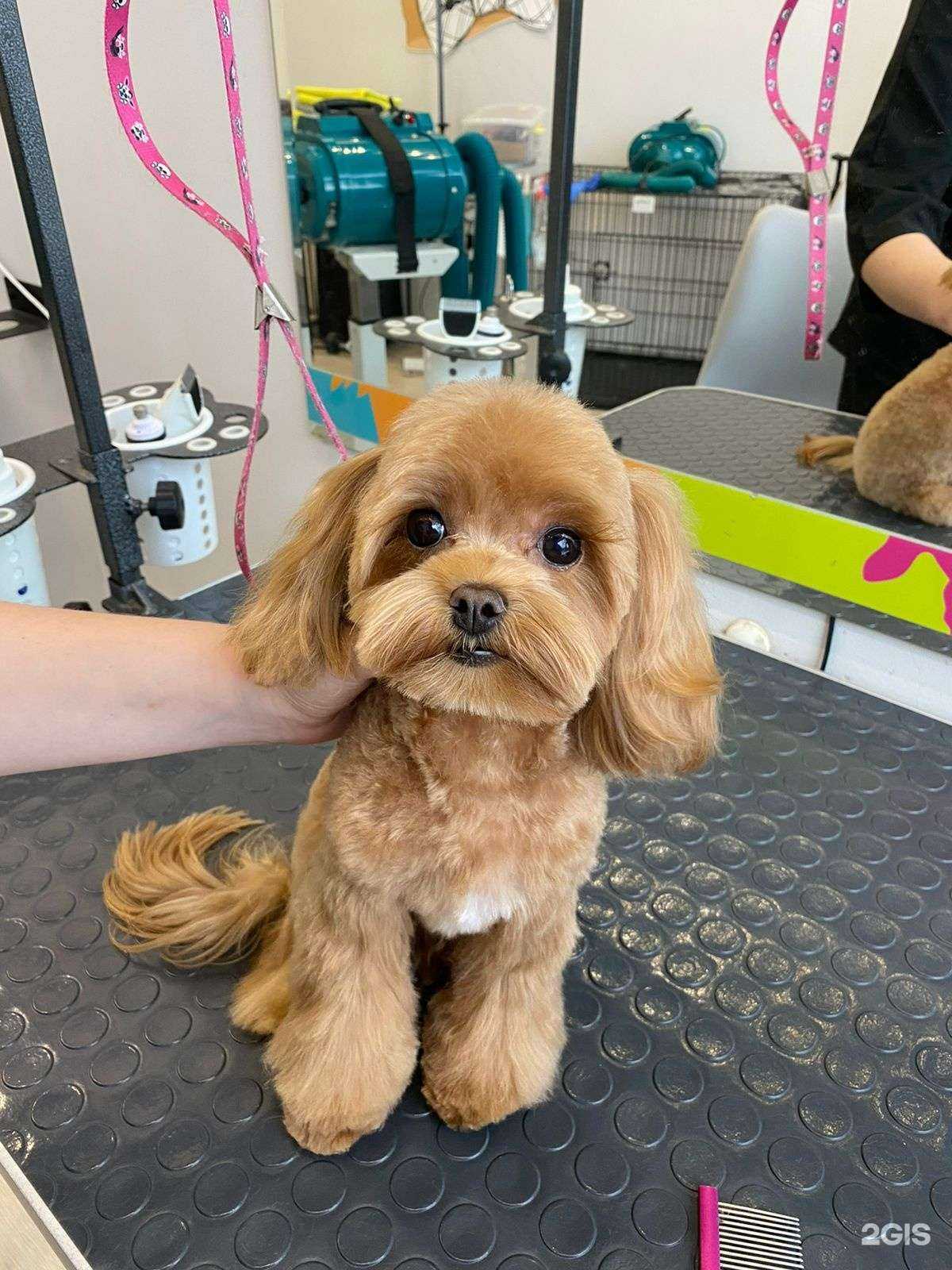 Отзывы на компанию Groom в г. Нижний Новгород c фото