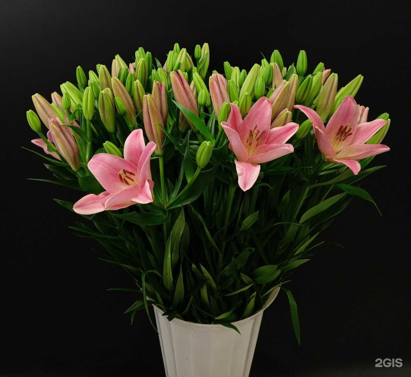 Отзывы на компанию Букет в Дубне c фото