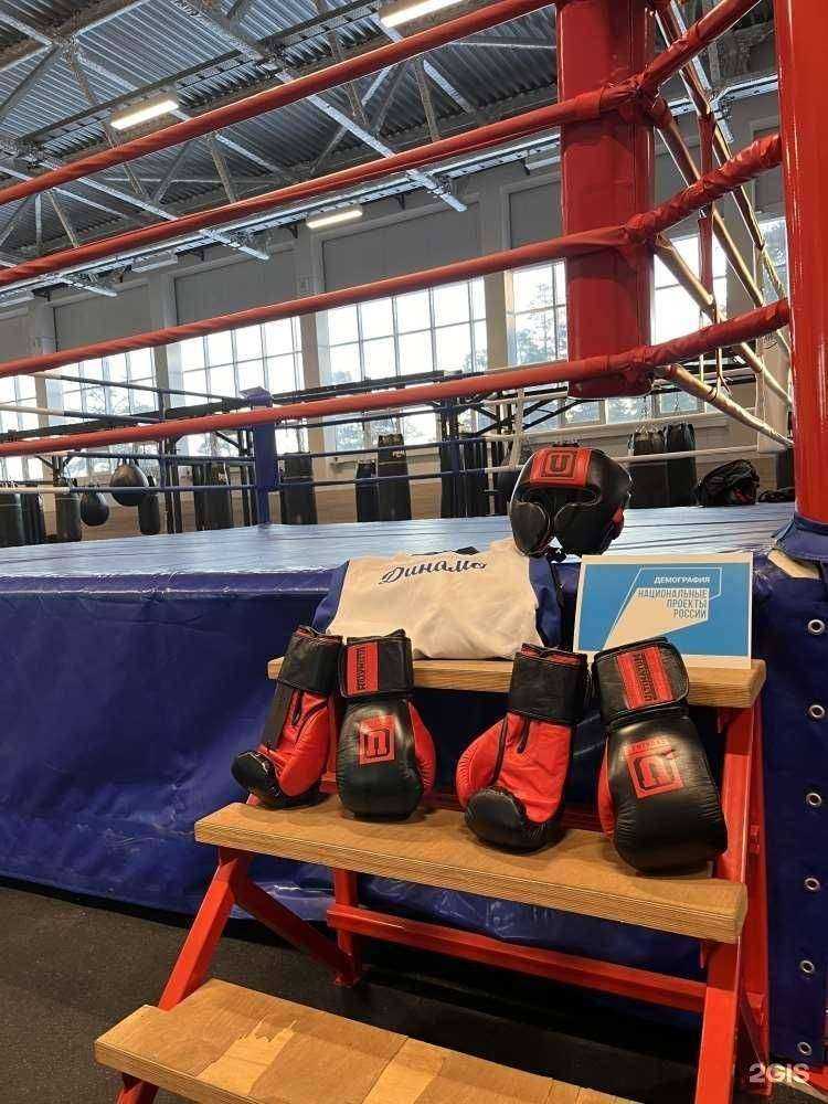 Отзывы на компанию СШОР Динамо в г. Челябинск c фото