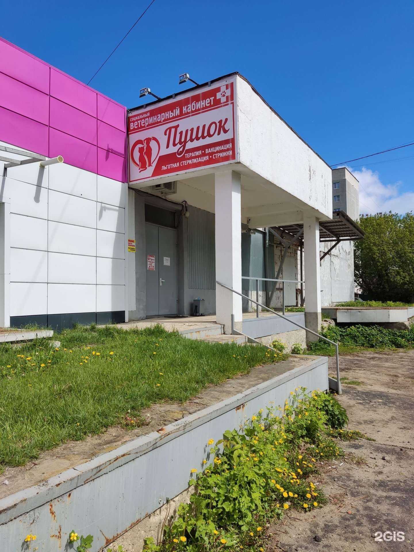 Отзывы на компанию Пушок в Муроме c фото