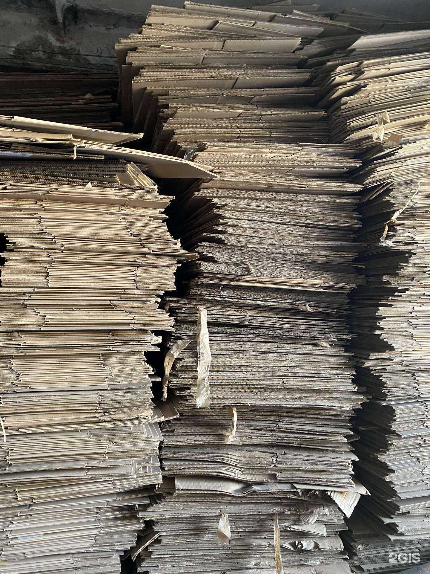 Отзывы на компанию Лев в Екатеринбурге c фото