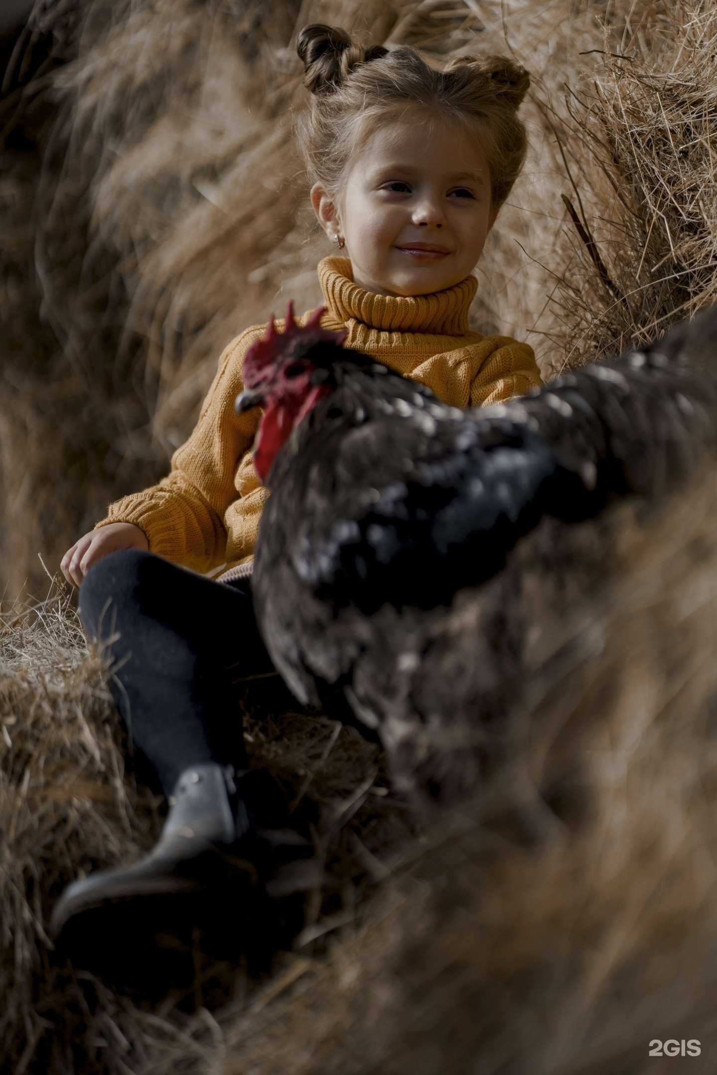 Отзывы на компанию Rizon в Рязани c фото