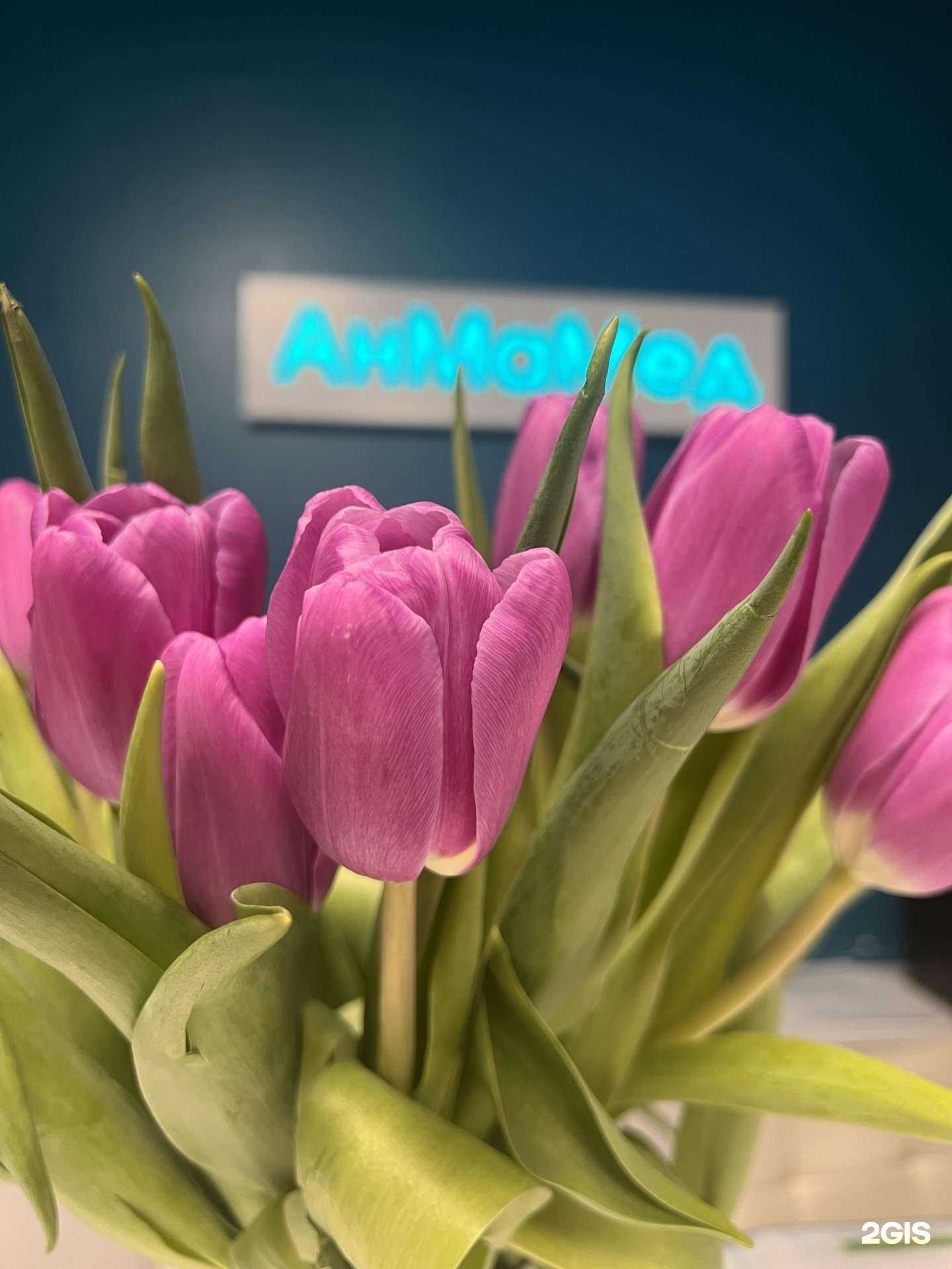 Отзывы на компанию АнМаМед в г. Екатеринбург c фото