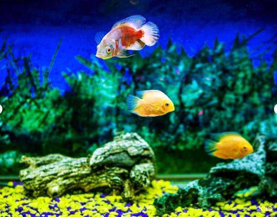 Отзывы на компанию Сауны Ростова в Ростове-на-Дону c фото