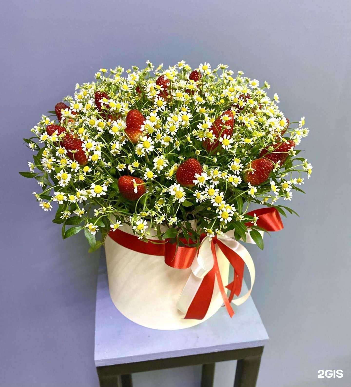 Отзывы на компанию Amore в Барнауле c фото