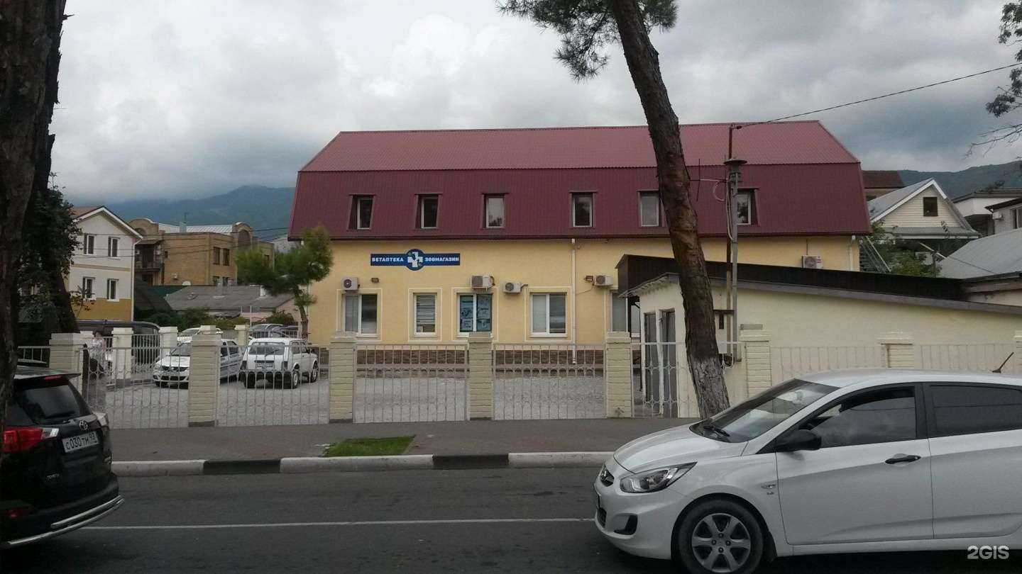 Отзывы на компанию Управление ветеринарии г. Геленджика в Геленджике c фото - фотография 2 из 2