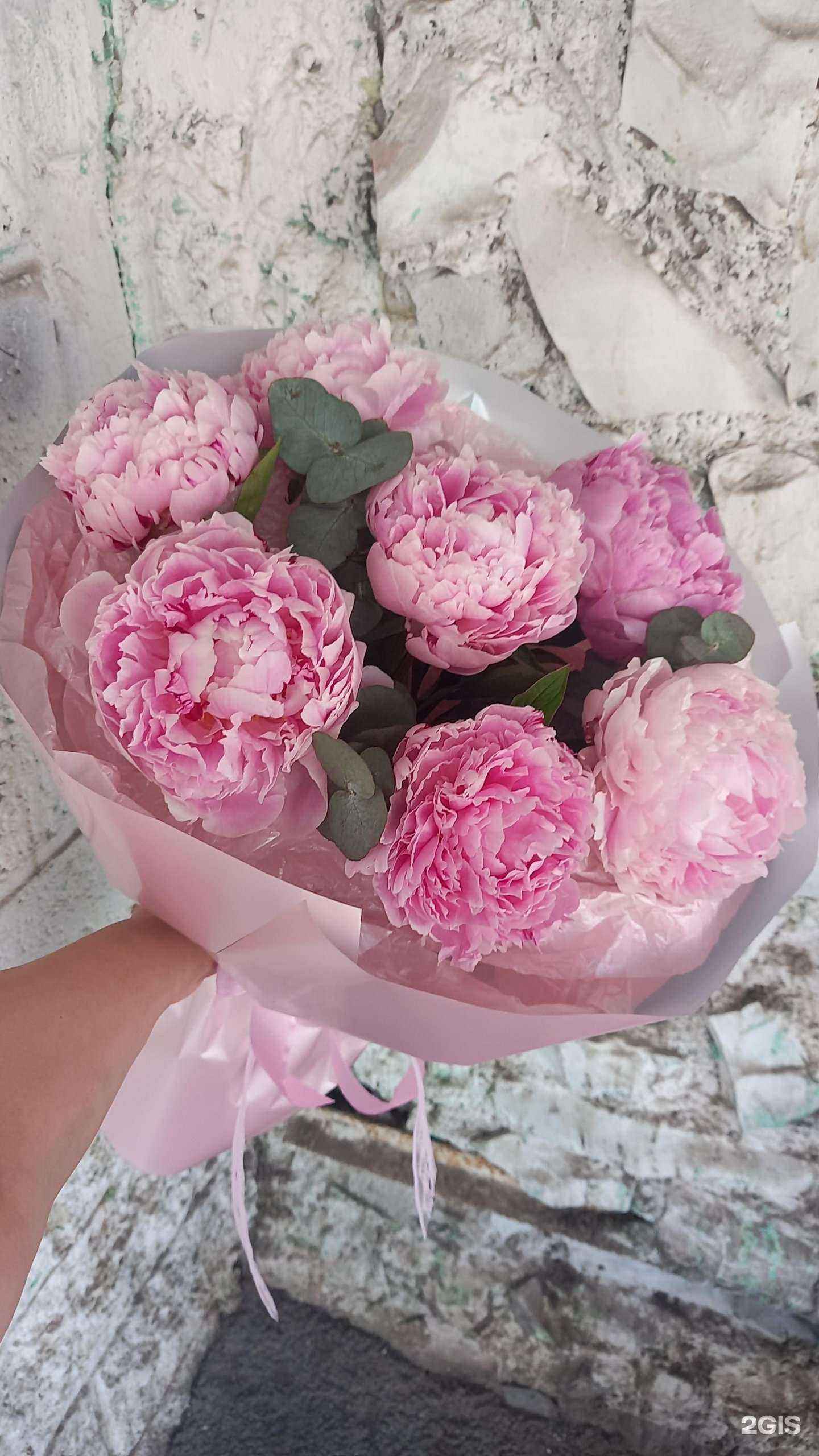 Отзывы на компанию Гербера в Уфе c фото