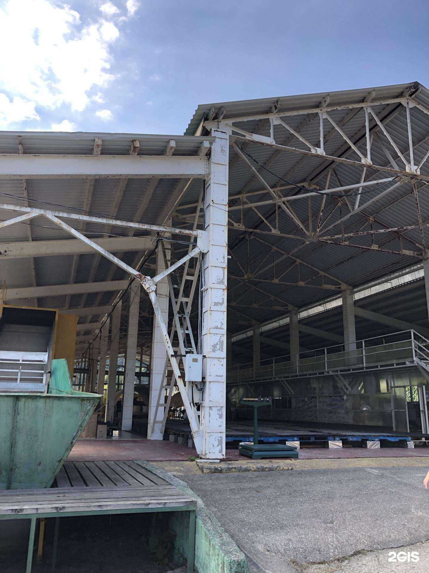 Отзывы на компанию Мацестинская Чайная Фабрика в Сочи c фото - фотография 2 из 2