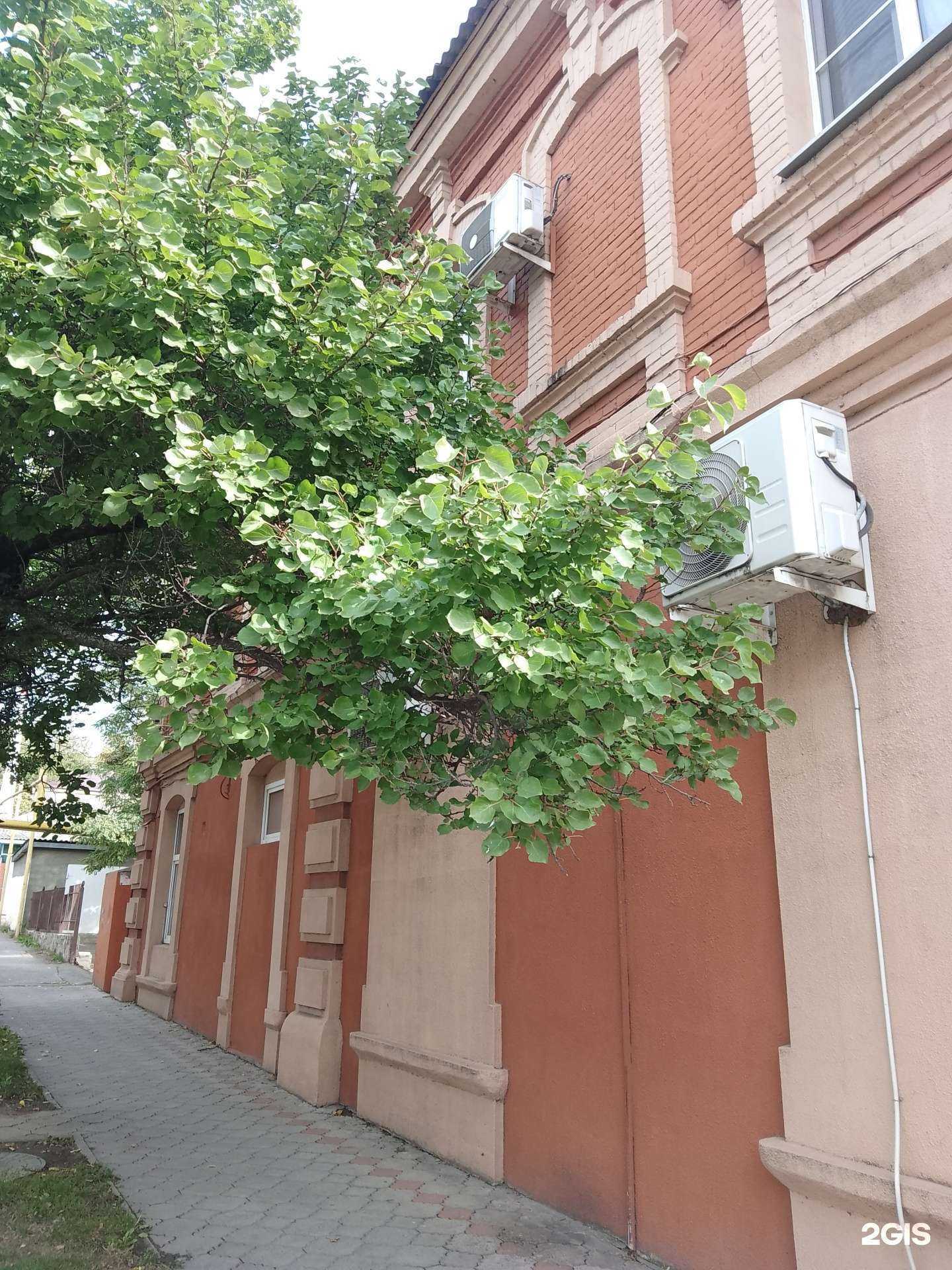 Отзывы на компанию Здравсити в Новороссийске c фото - фотография 2 из 2