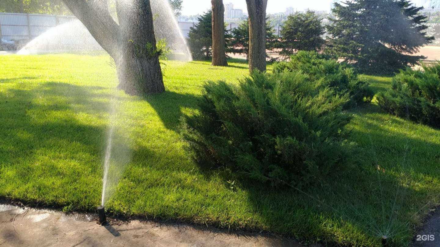 Отзывы на компанию Recomax Group LLC в Ростове-на-Дону c фото