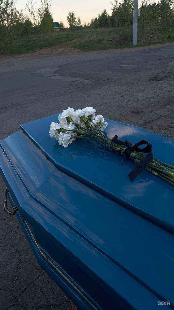 Отзывы на компанию Миссия-С в г. Ижевск c фото