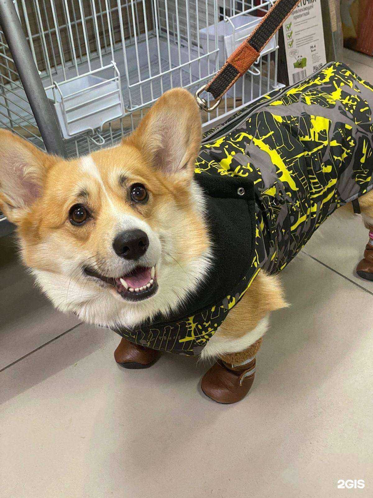 Отзывы на компанию Все для ваших любимцев в г. Иркутск c фото