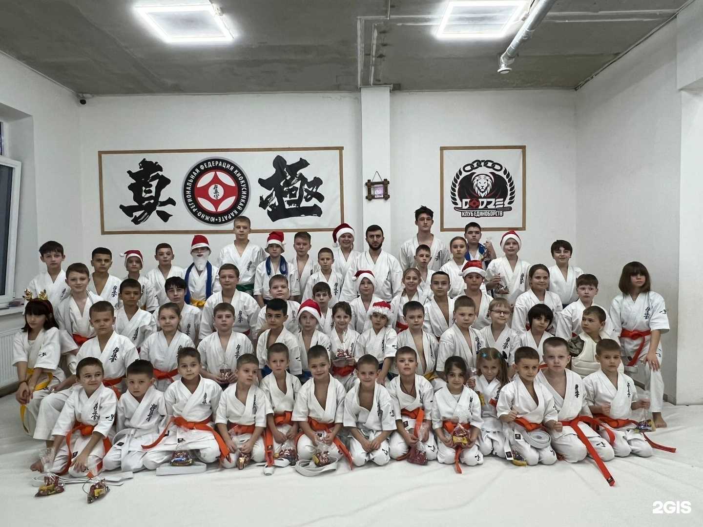 Отзывы на компанию Dodze в Краснодаре c фото