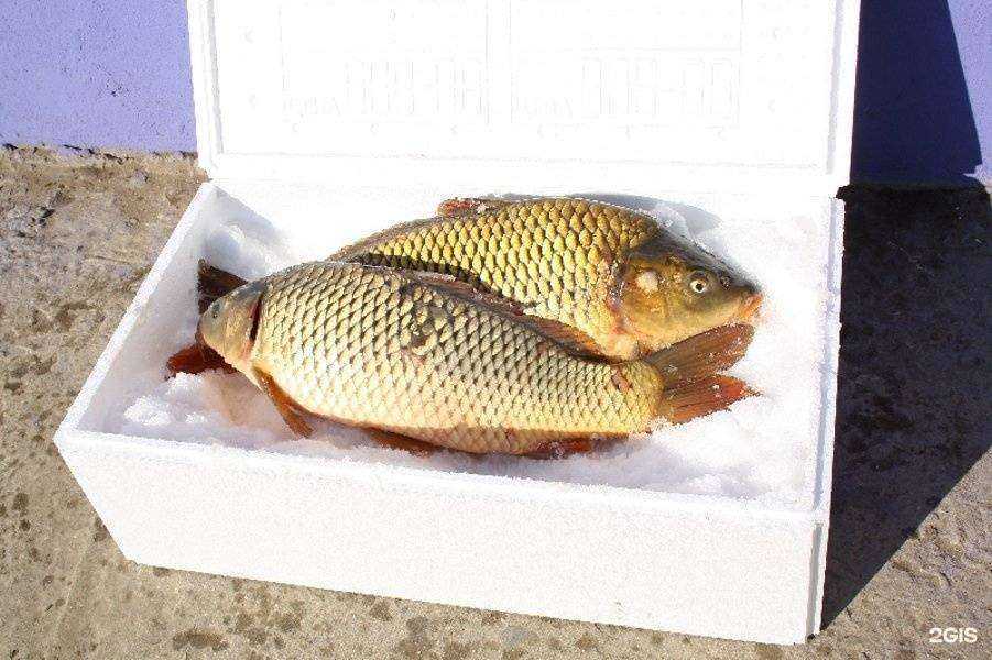 Отзывы на компанию Теплый дом в Астрахани c фото