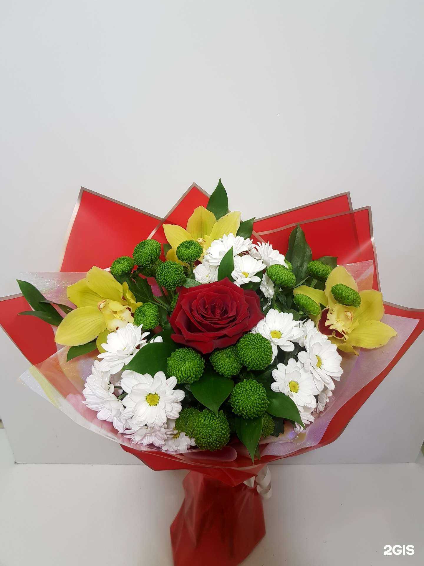 Отзывы на компанию Кактус в Астрахани c фото