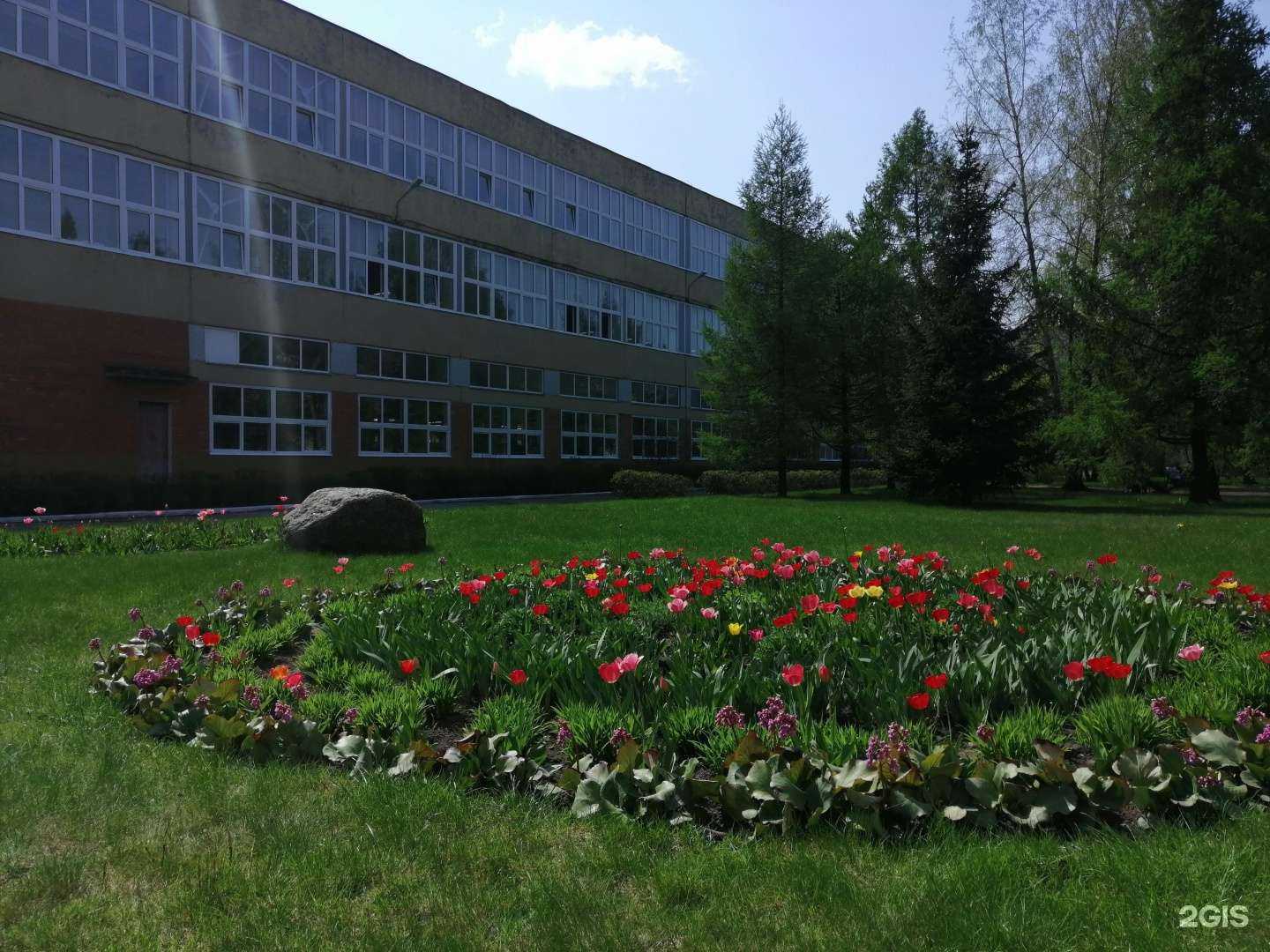 Отзывы на компанию Sigma Inc в Пскове c фото - фотография 2 из 2