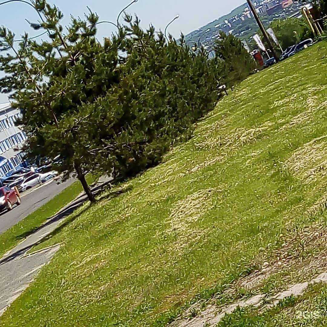 Отзывы на компанию ДОСААФ России Республики Мордовия в г. Саранск c фото