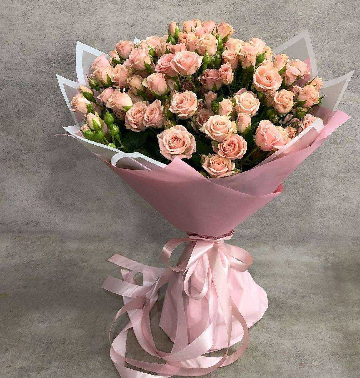 Отзывы на компанию Сакура в Стерлитамаке c фото