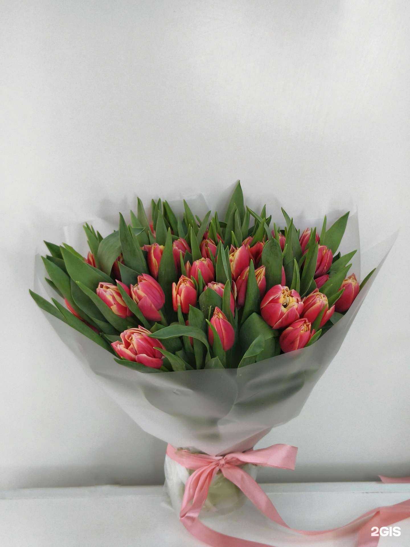 Отзывы на компанию Тимьян в г. Тамбов c фото