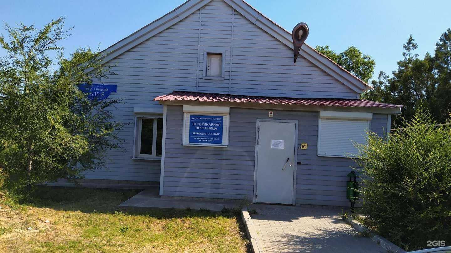 Отзывы на компанию Ворошиловская Ветлечебница в Волгограде c фото
