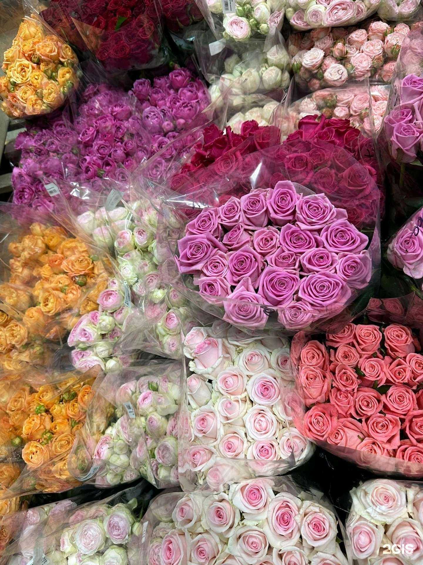 Отзывы на компанию Разноцветье в г. Архангельск c фото