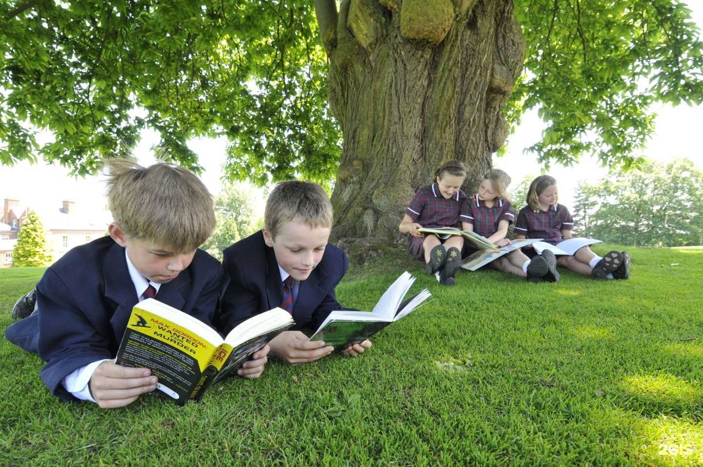 Отзывы на компанию Britannica в г. Химки c фото