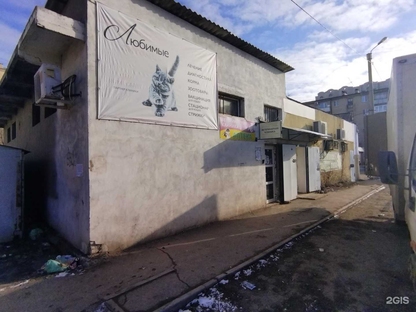 Отзывы на компанию Любимые питомцы в Астрахани c фото - фотография 2 из 2