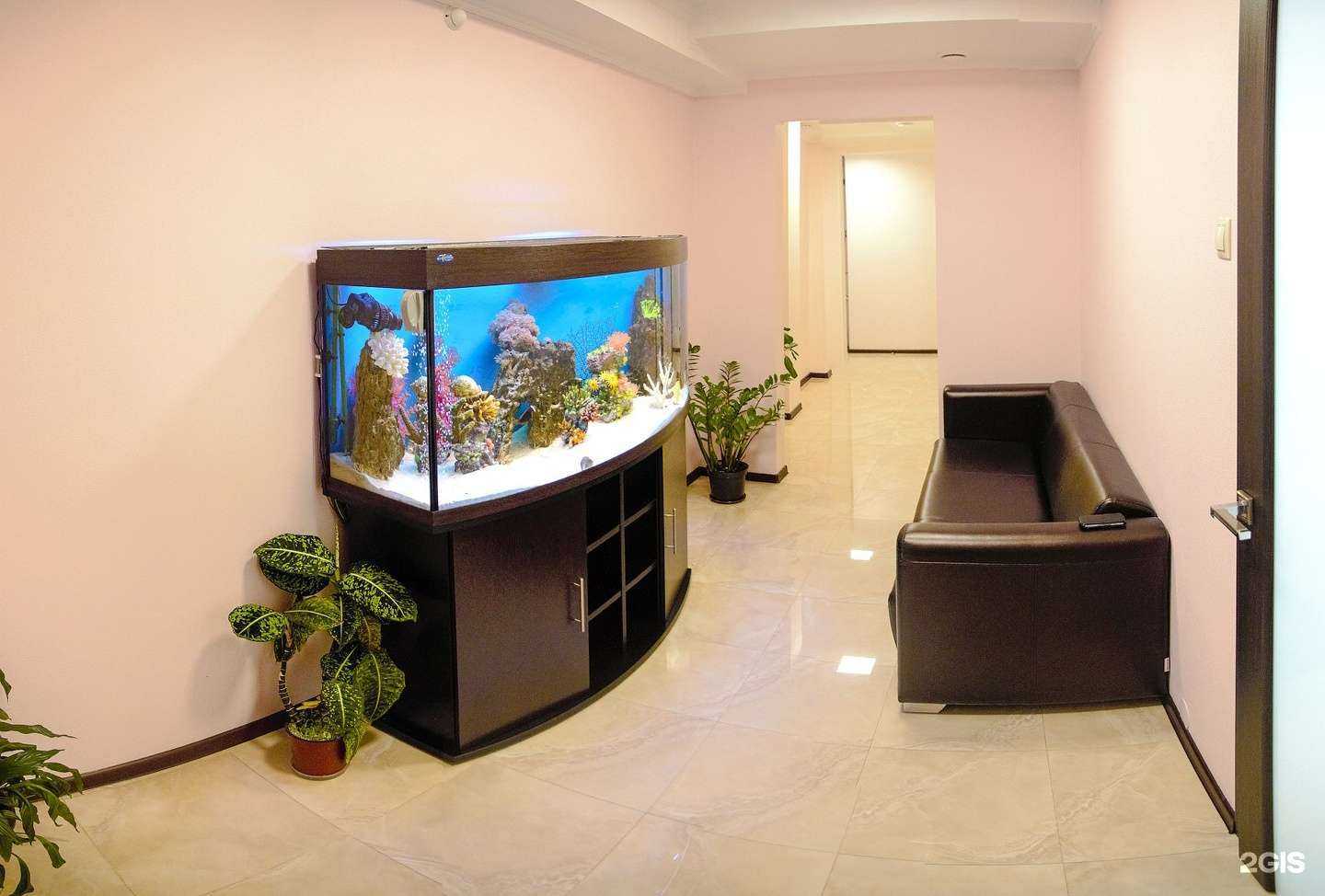 Отзывы на компанию Стомус в Красноярске c фото