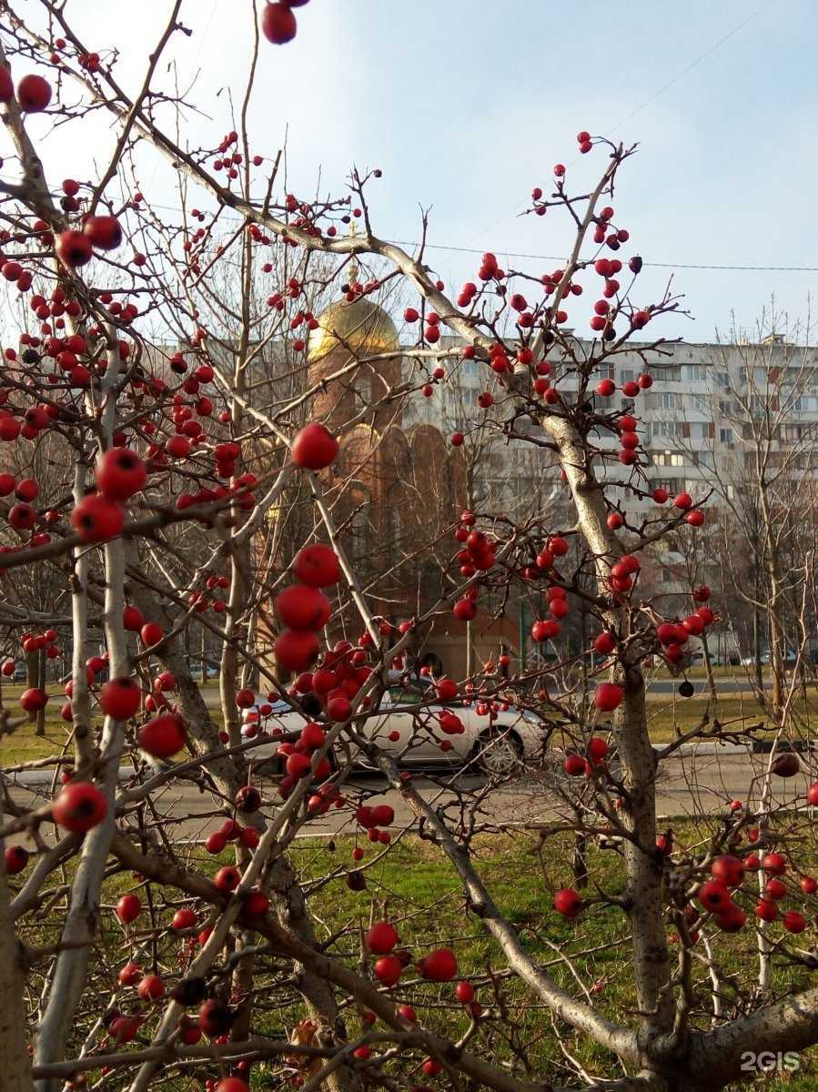 Отзывы на компанию Свадебное агентство в Краснодаре c фото - фотография 2 из 2