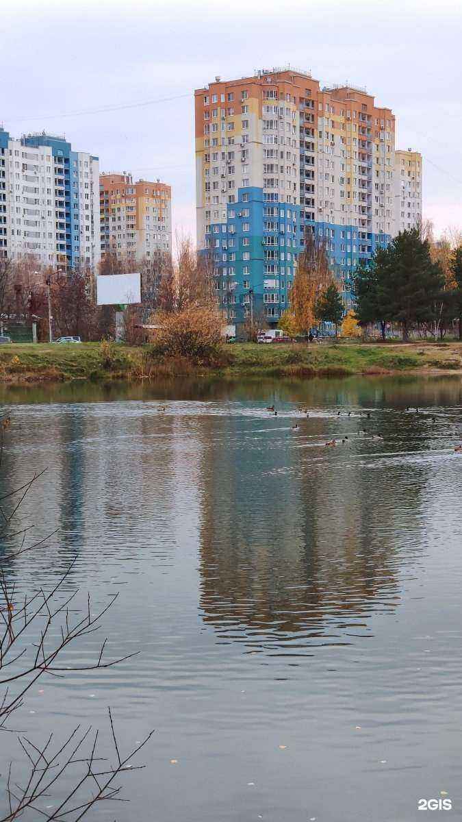 Отзывы на компанию УльтраКидс в Нижнем Новгороде c фото - фотография 2 из 2