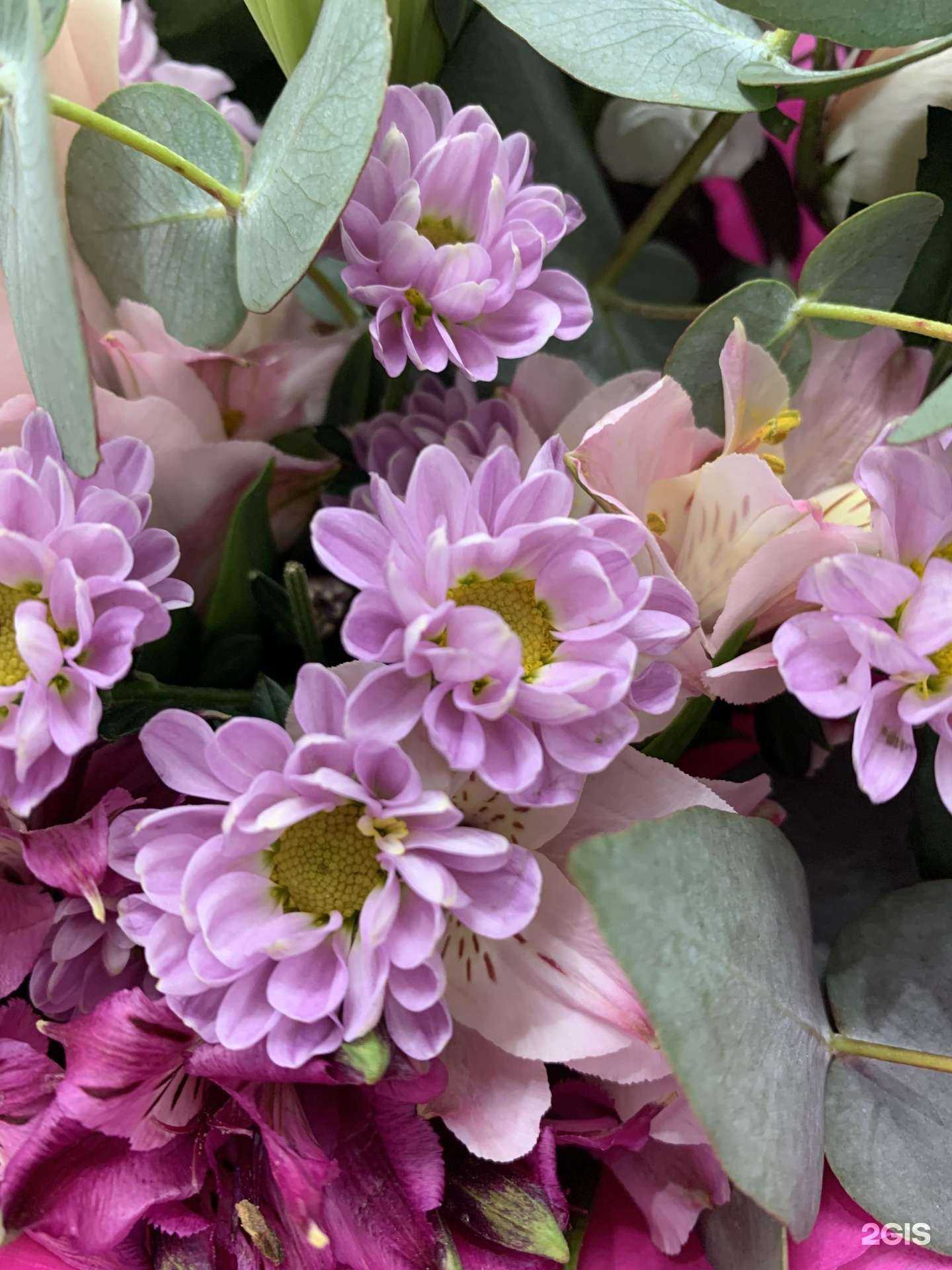 Отзывы на компанию ВоБутон в г. Реутов c фото