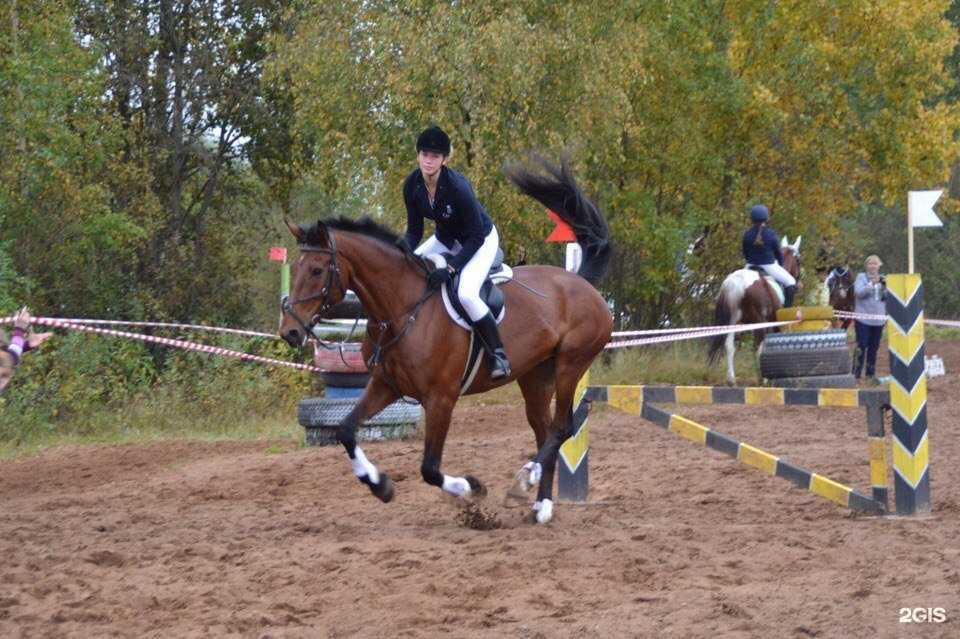 Отзывы на компанию Гардарика в Великом Новгороде c фото
