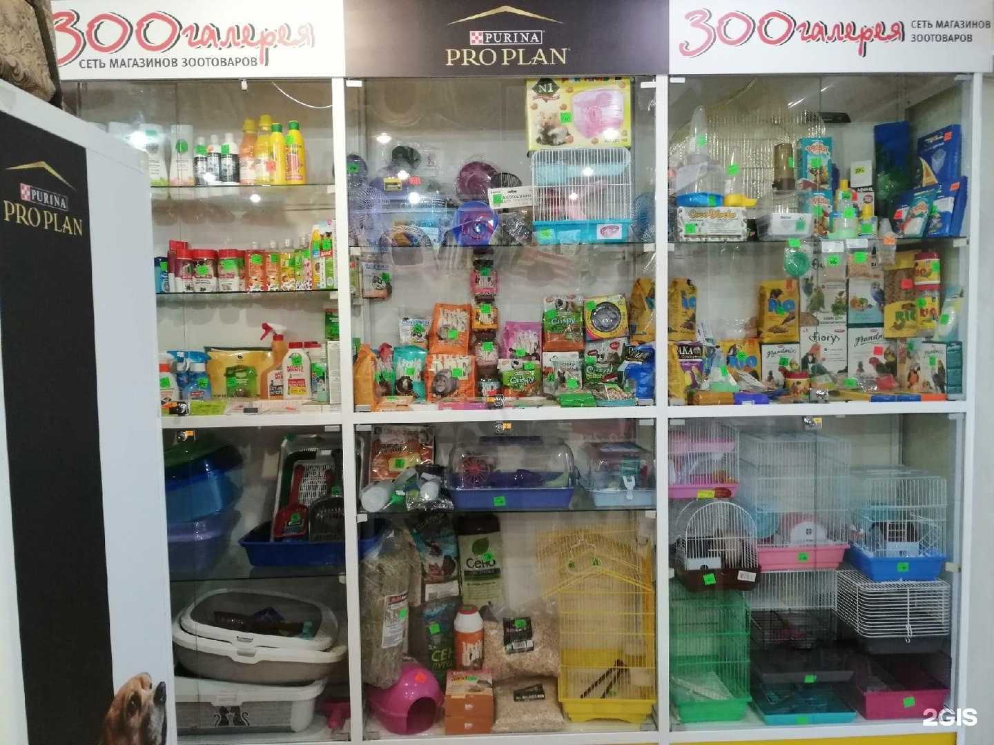 Отзывы на компанию Зоогалерея в Омске c фото