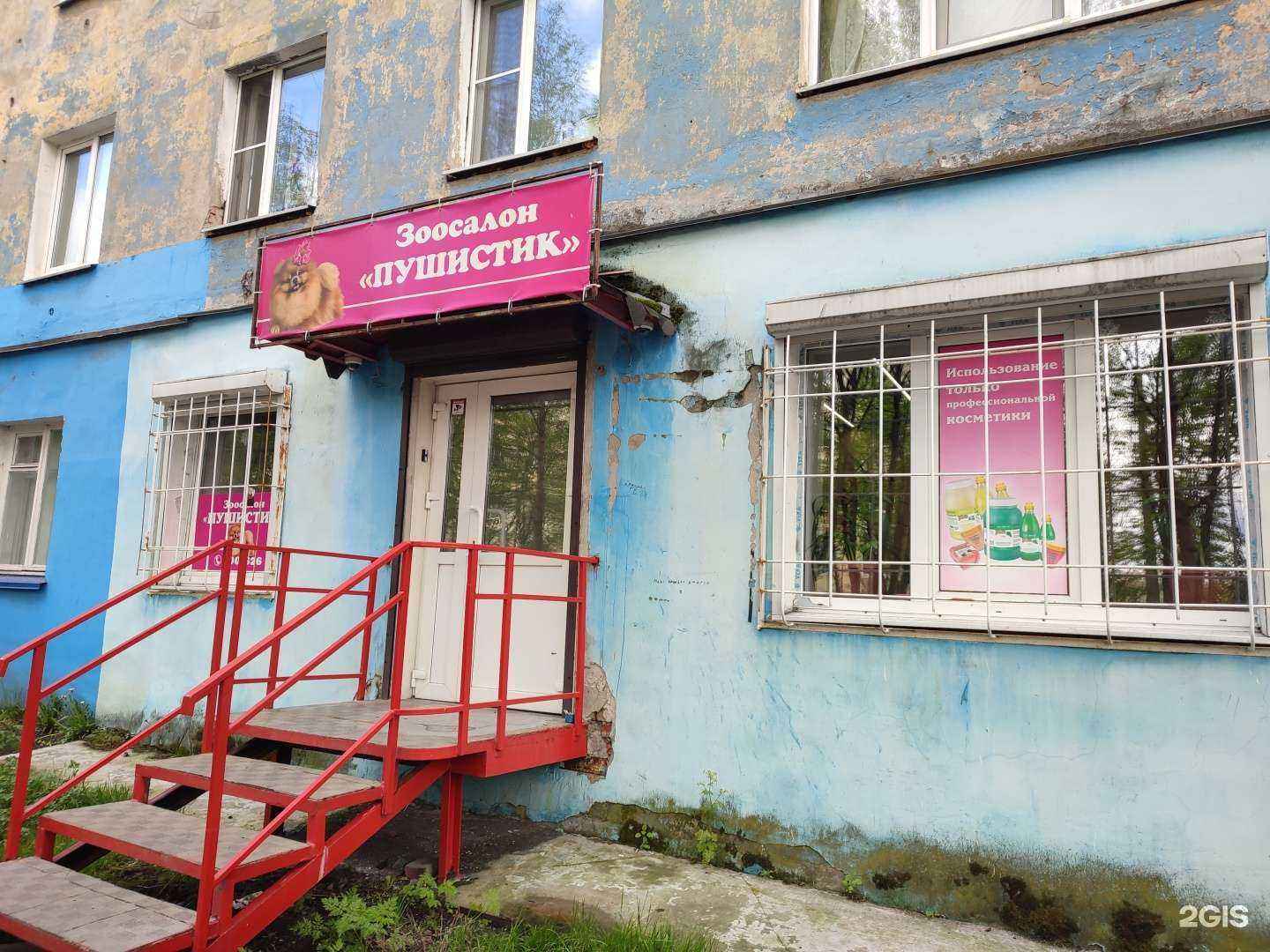 Отзывы на компанию Пушистик в г. Мурманск c фото