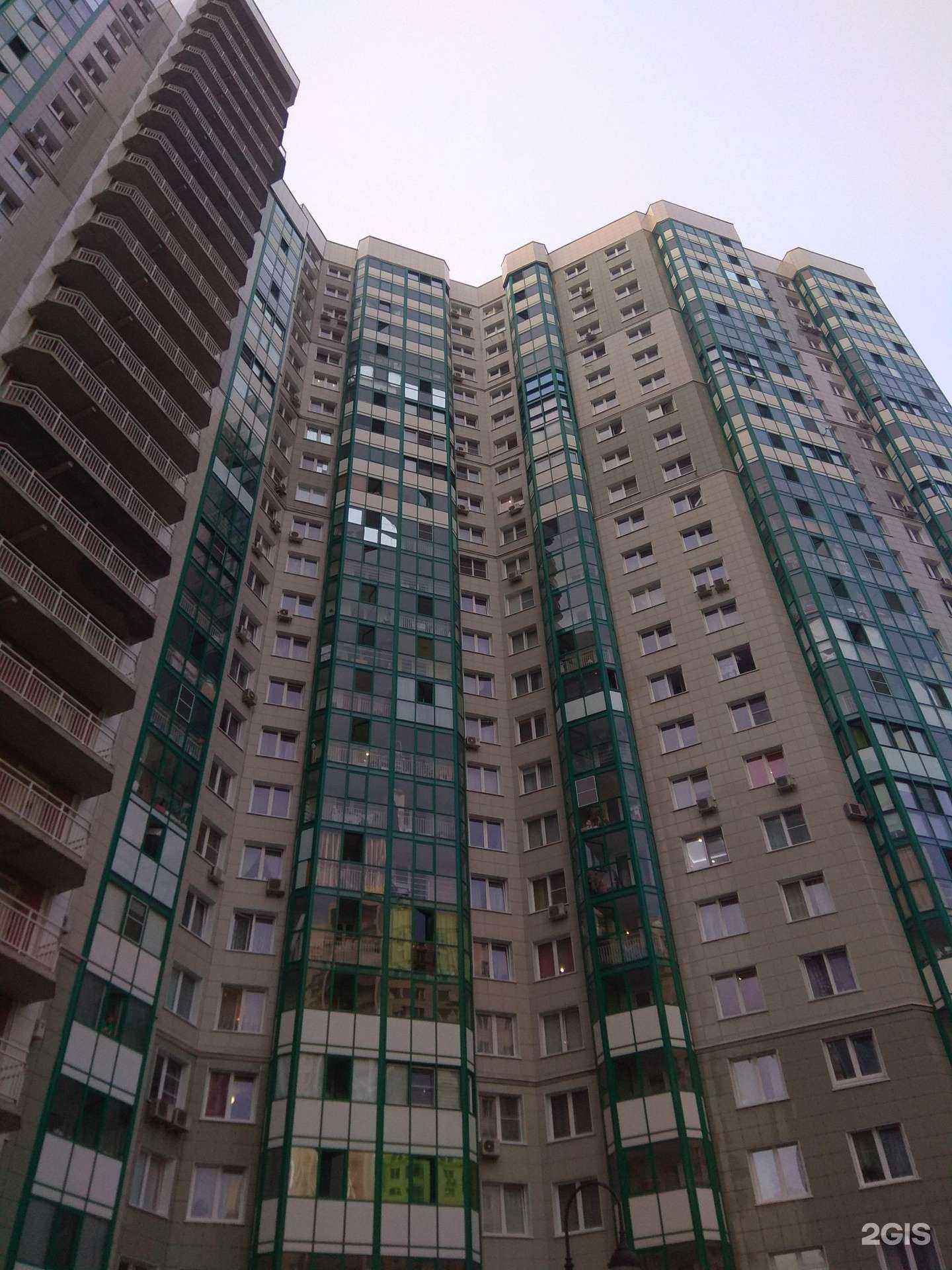 Отзывы на компанию Питомец в Красногорске c фото - фотография 2 из 2