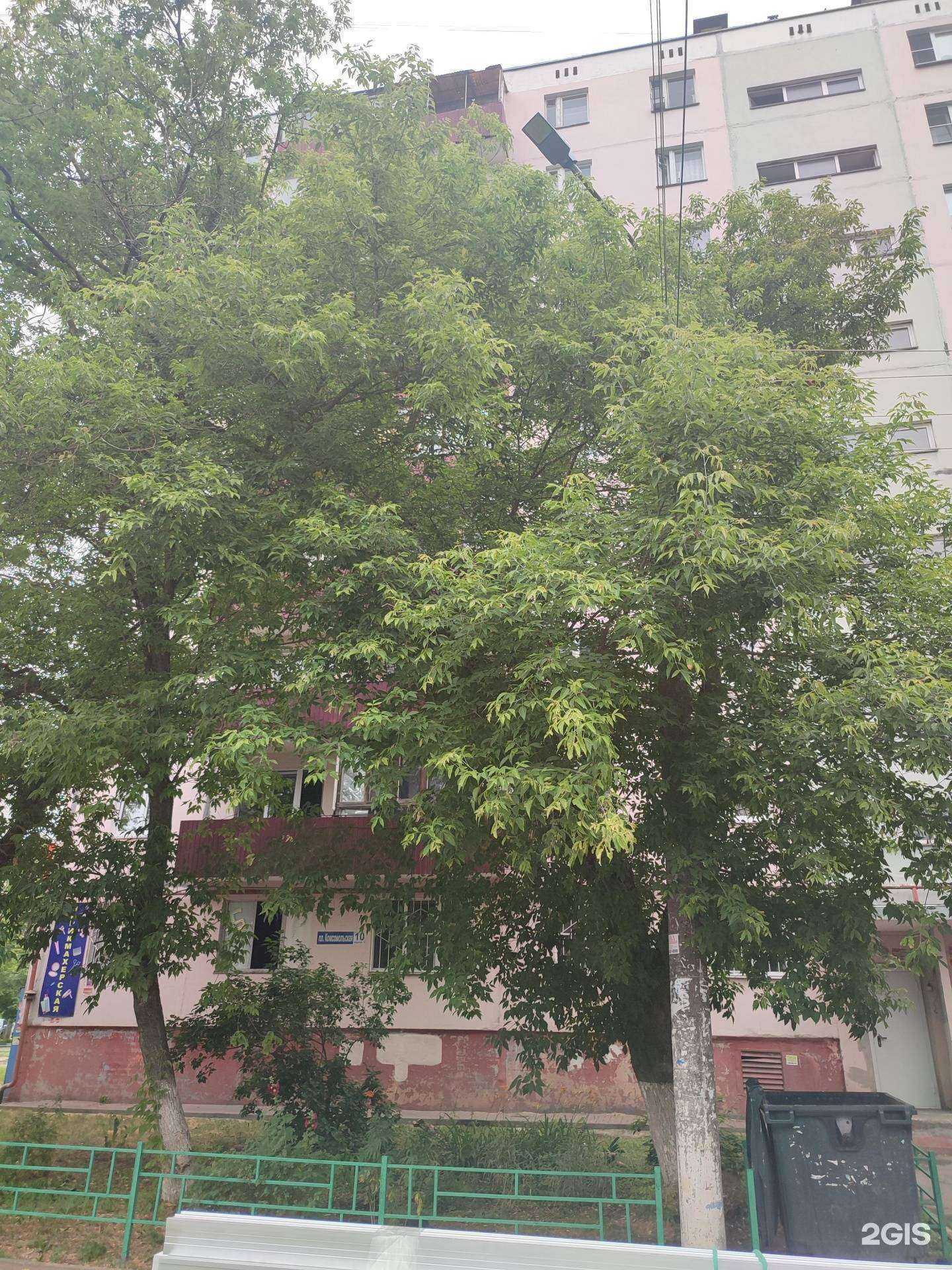 Отзывы на компанию Дата Вижн в Нижнем Новгороде c фото