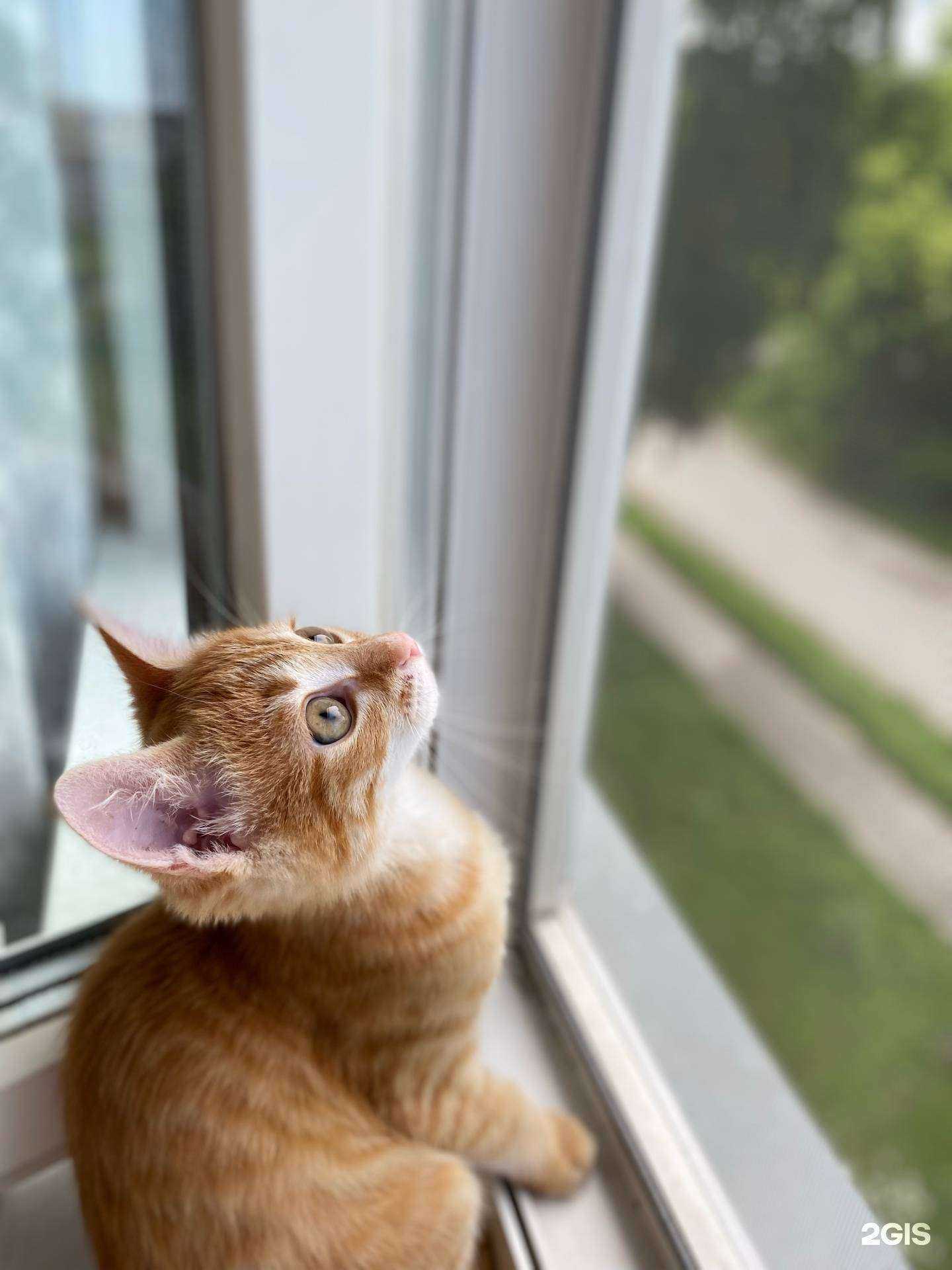 Отзывы на компанию Доктор Айболит в Бердске c фото