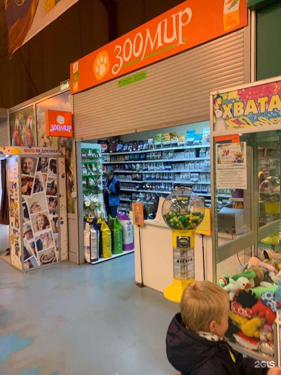 Отзывы на компанию ЗооМир в г. Петрозаводск c фото