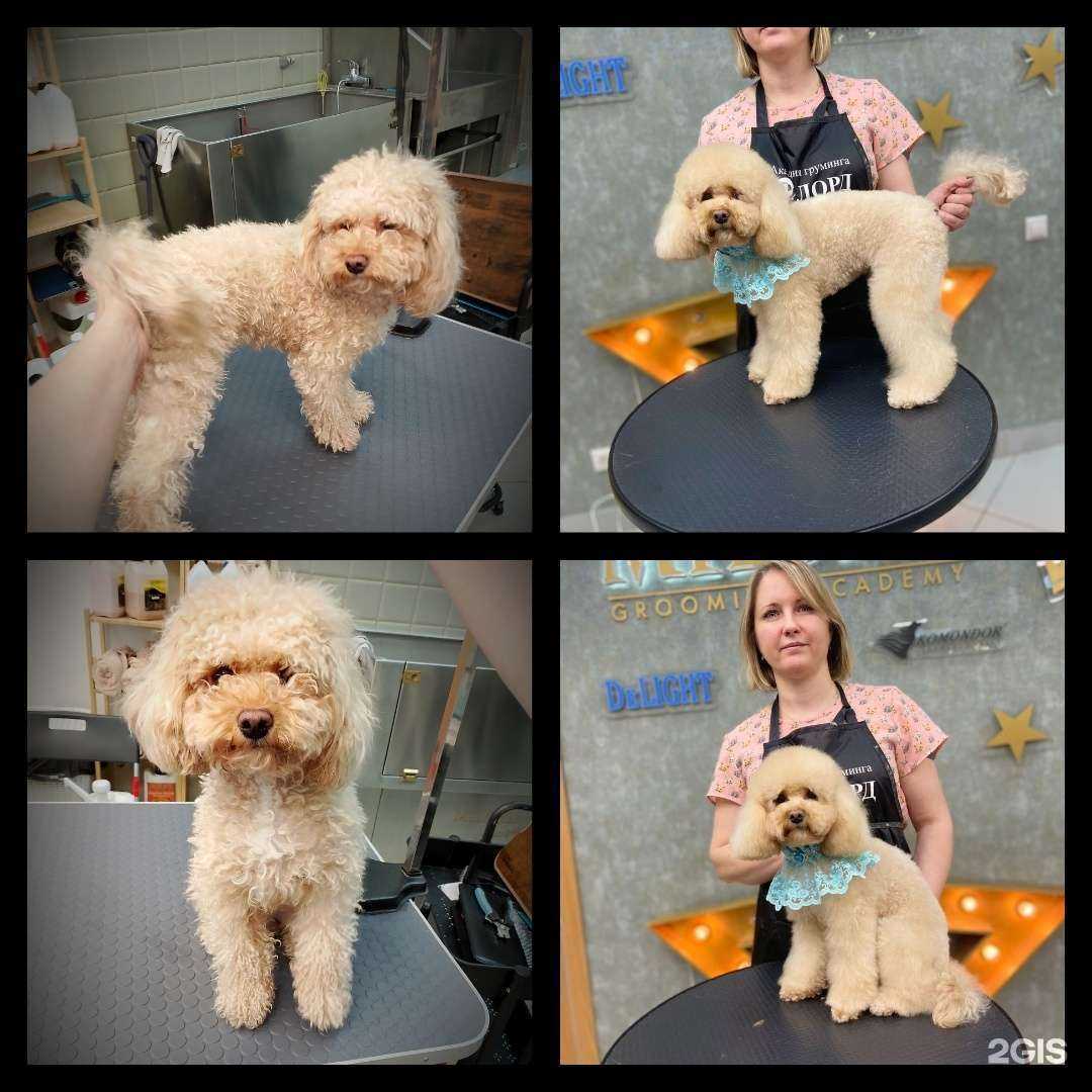 Отзывы на компанию Шелти в г. Рязань c фото