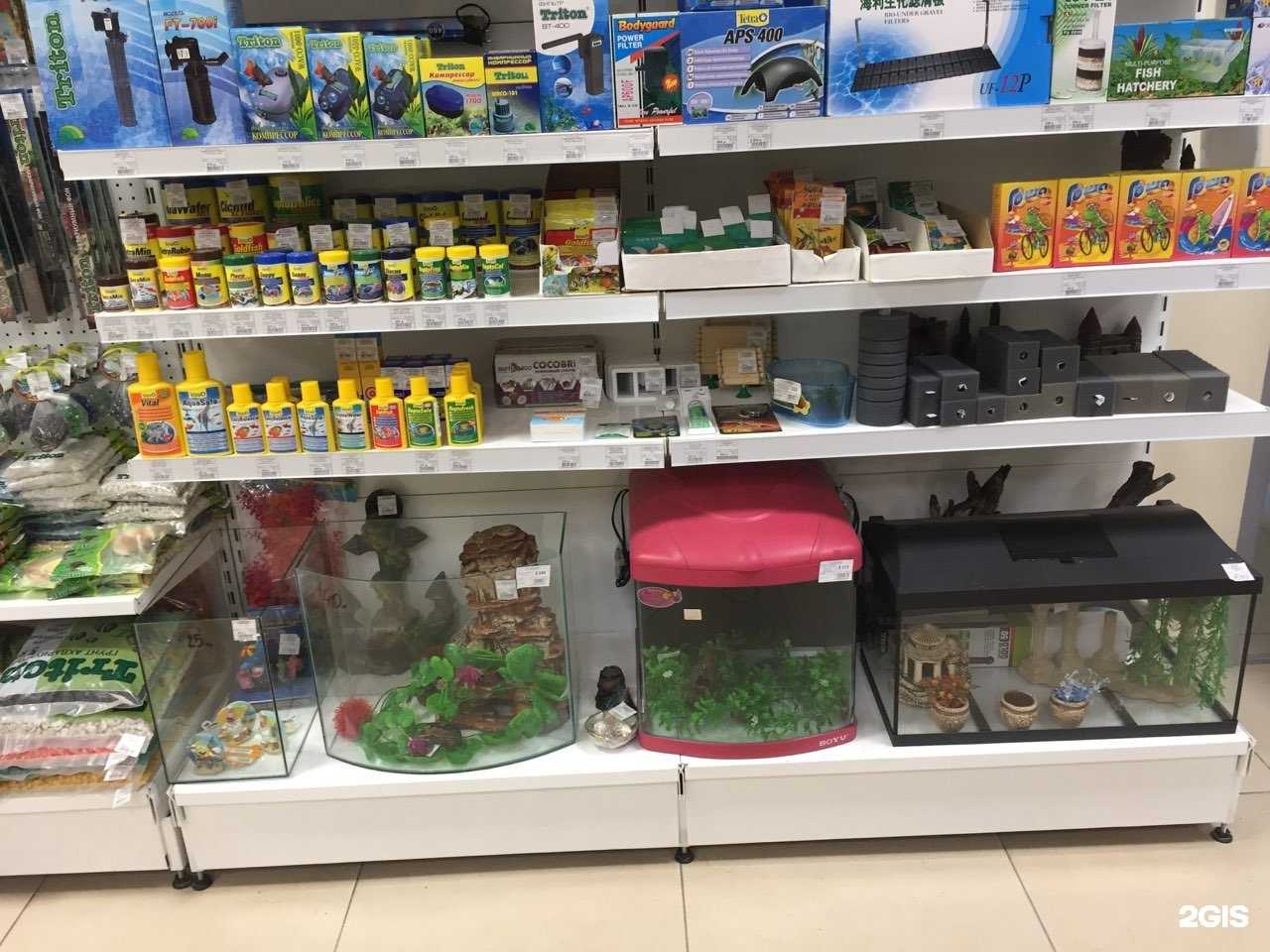 Отзывы на компанию Зоомаркет в Чебаркуле c фото