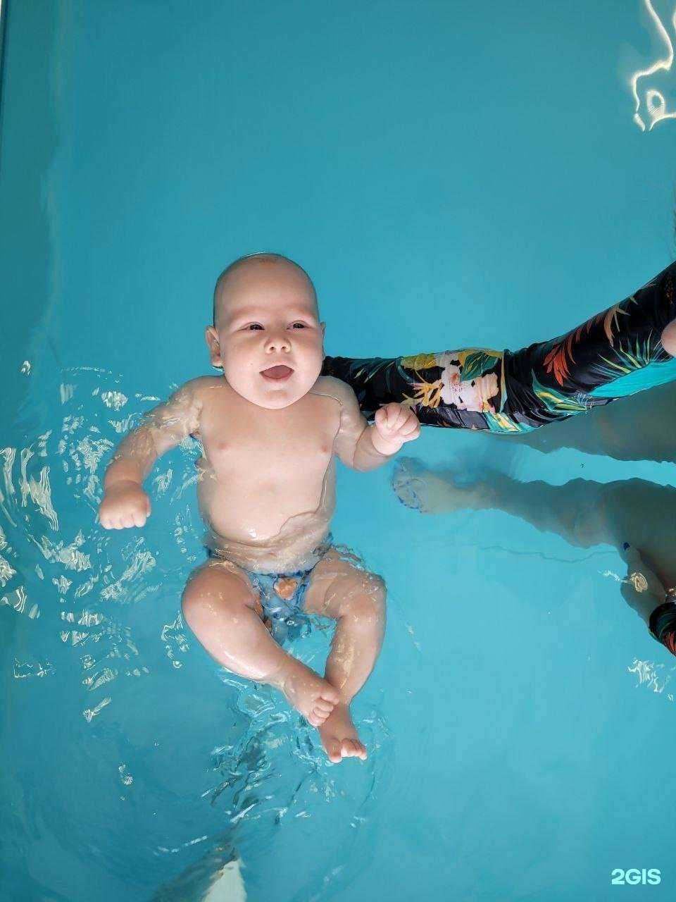 Отзывы на компанию Китенок в г. Красноярск c фото