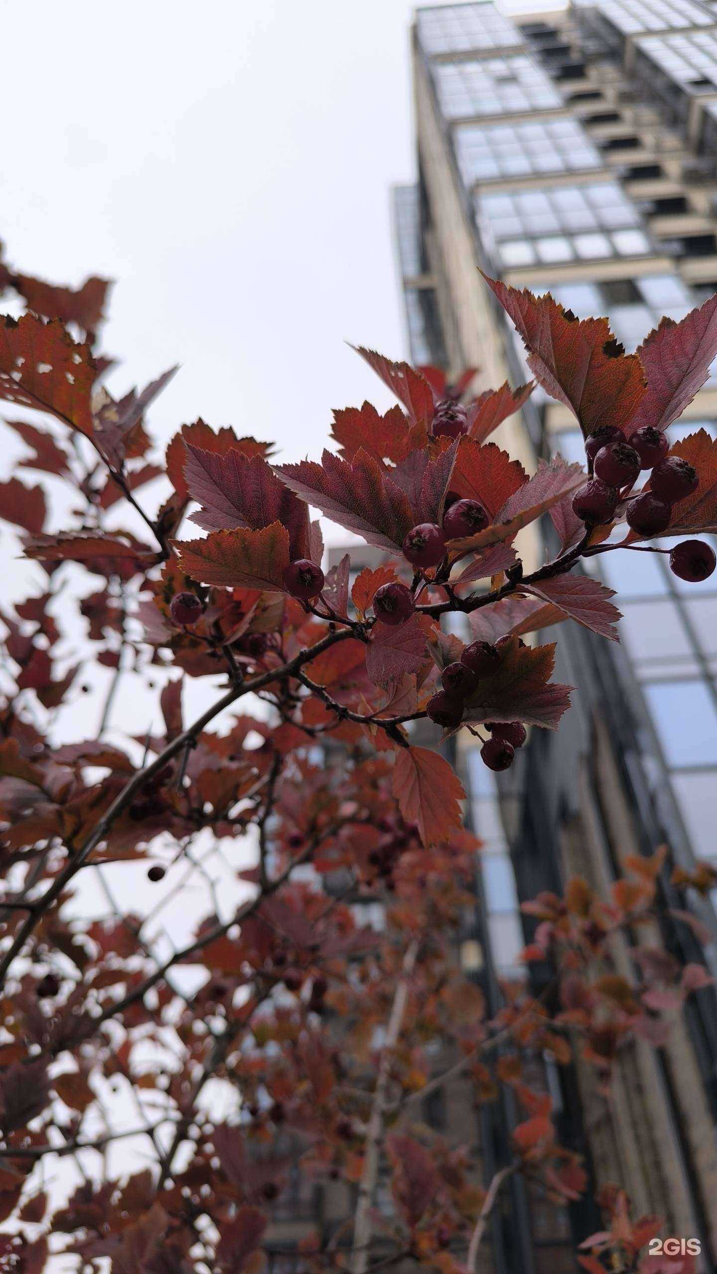 Отзывы на компанию Kit в Иркутске c фото - фотография 2 из 2