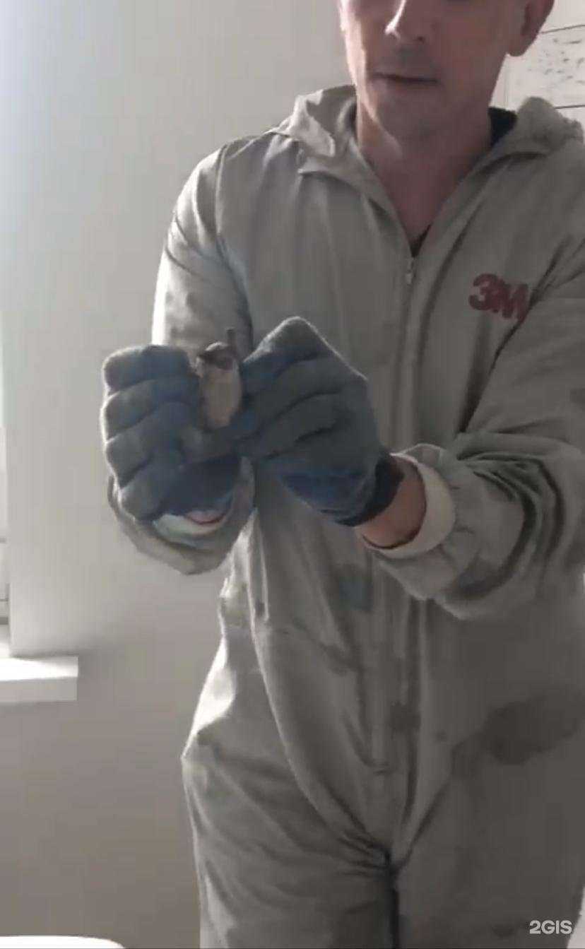 Отзывы на компанию ДЕЗ-Клининг 54 в г. Новосибирск c фото