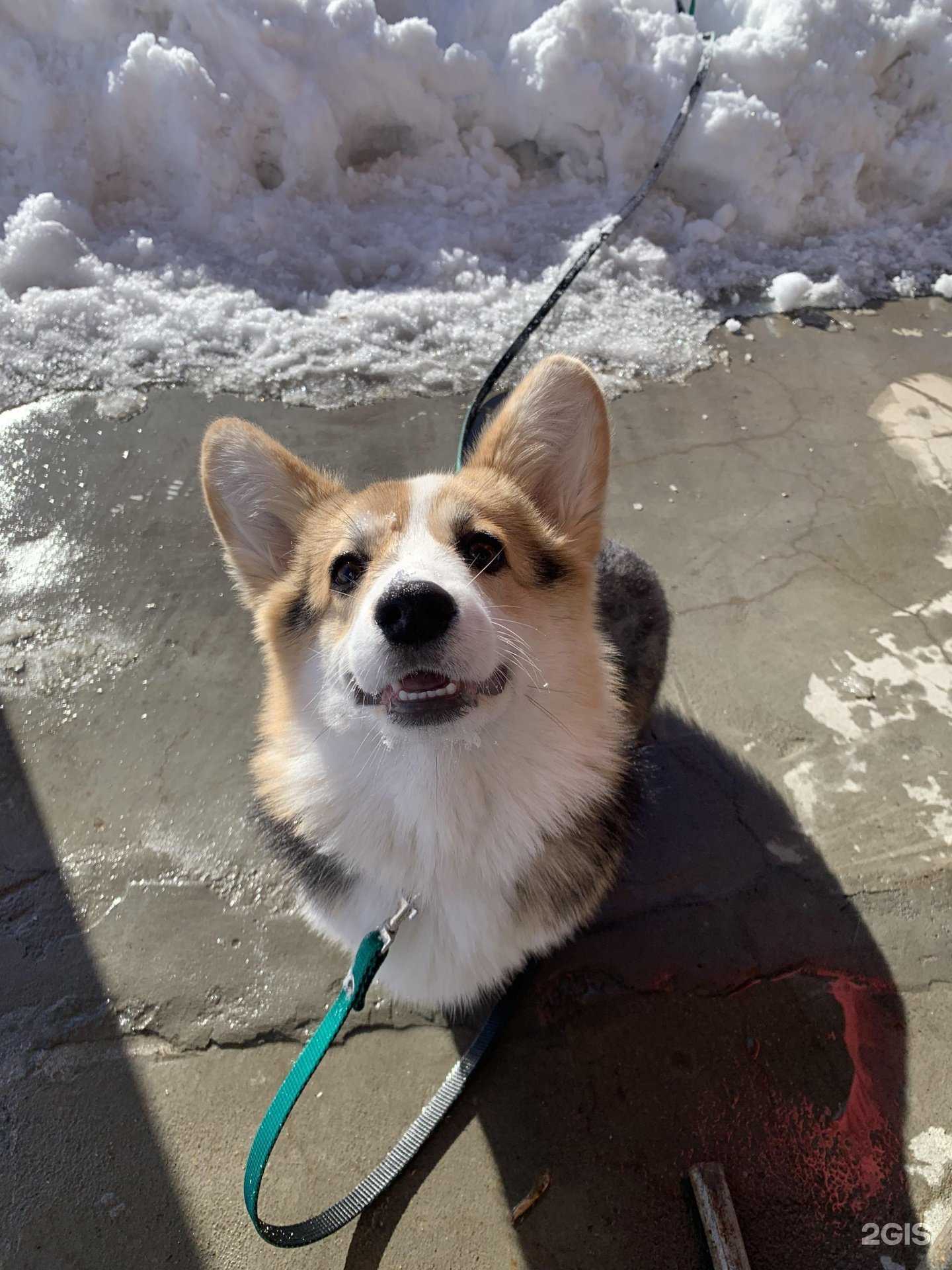 Отзывы на компанию Умничка в г. Пермь c фото