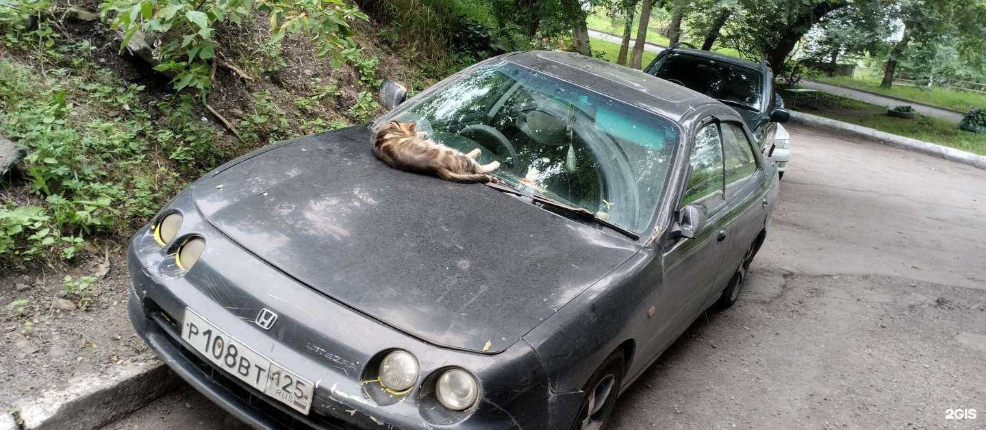 Отзывы на компанию Mobil1 Центр в г. Владивосток c фото