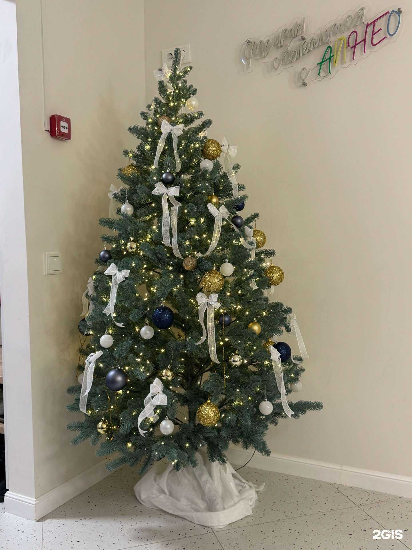 Отзывы на компанию АйНео в Саратове c фото