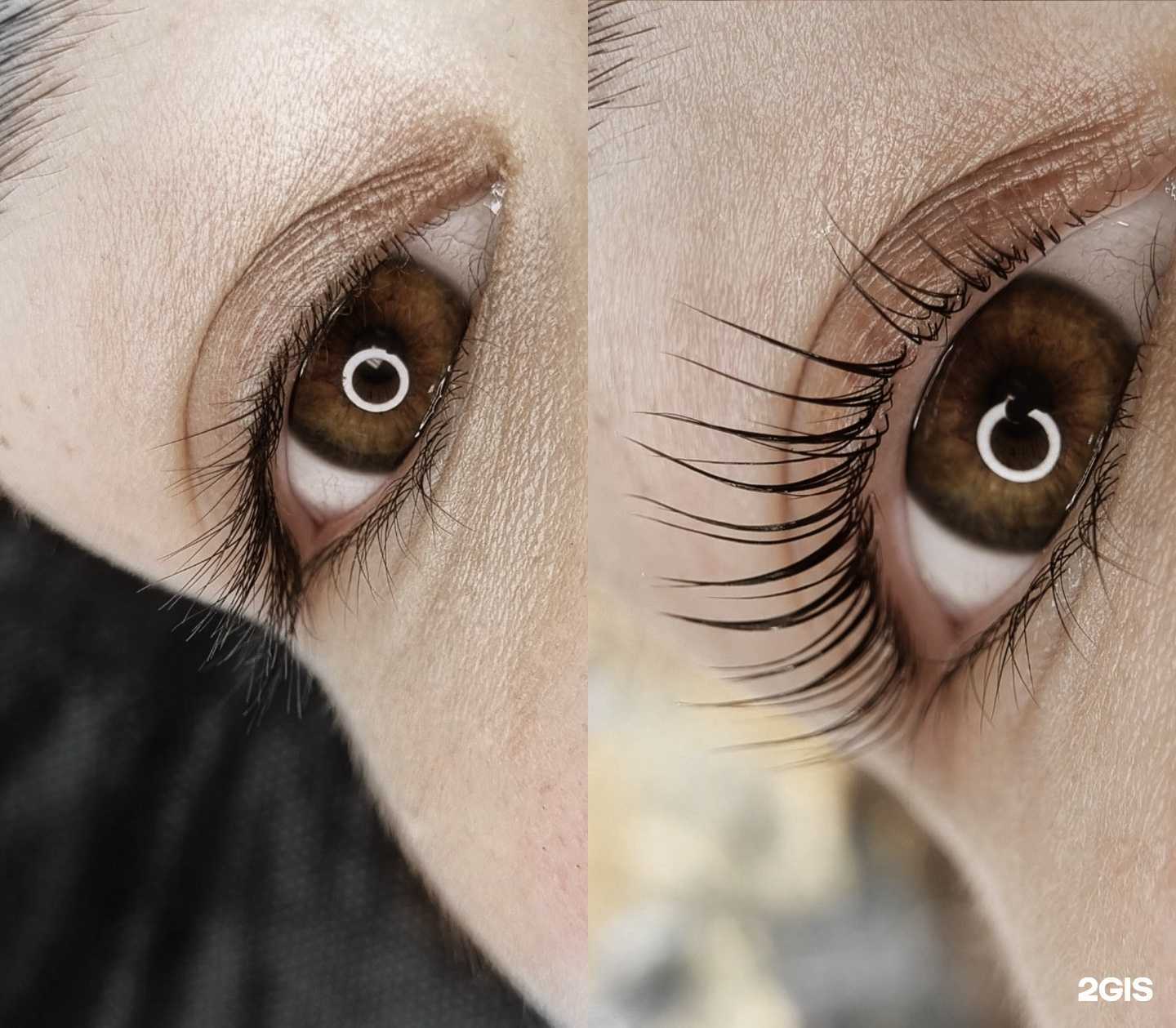 Отзывы на компанию Котикова в Владивостоке c фото